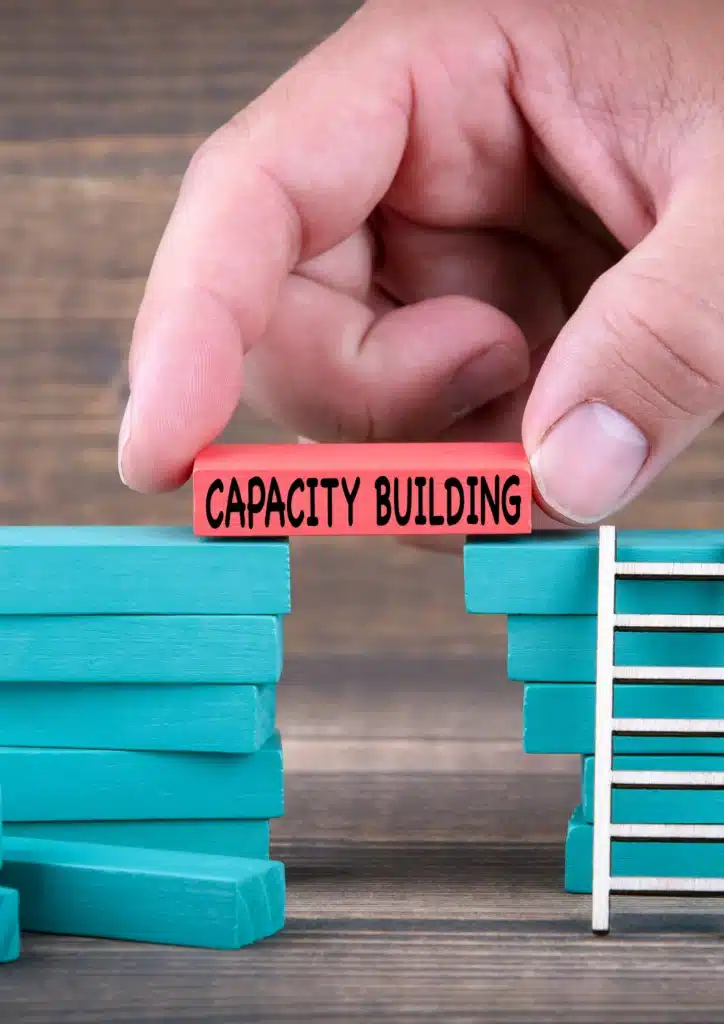 capacity building and skill transfer