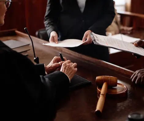 litigation support